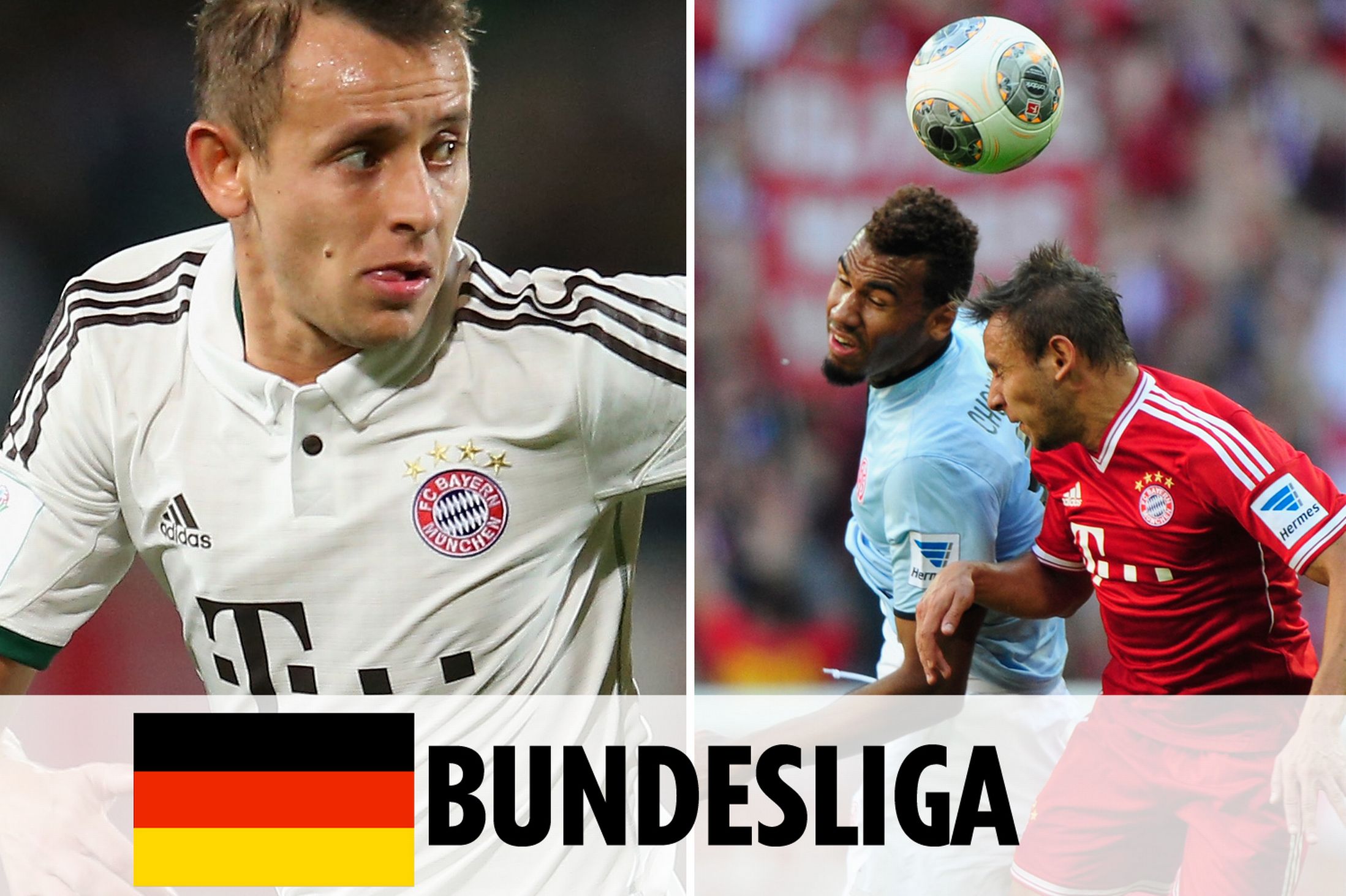 的新星阿尔 的新星阿尔