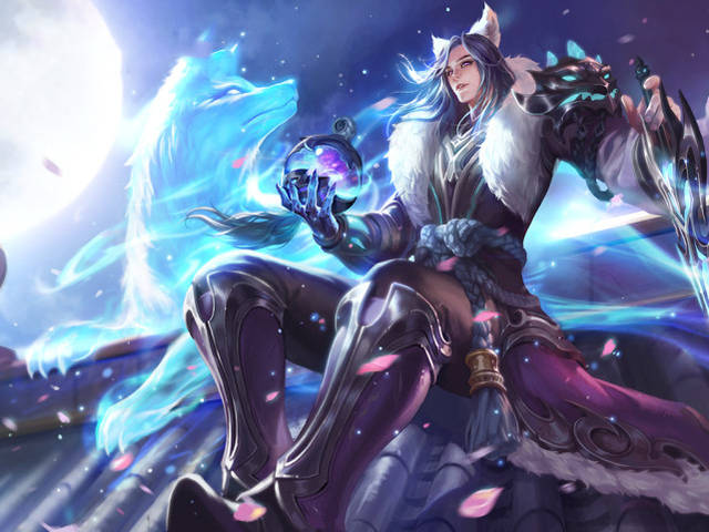 篮球领域的 篮球领域的